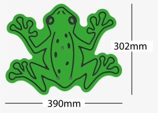 Technical Information - Gray Treefrog