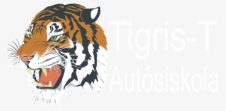 Tiger Png Logo - Roaring Tiger Head Clip Art