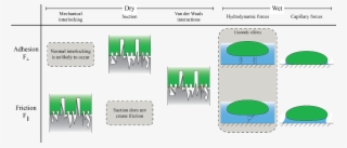 Overview Of The Mechanisms Which May Contribute To - Diagram