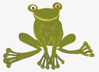 Frog - Pine Barrens Treefrog