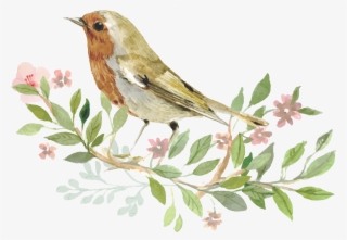 Sparrow Bird Watercolor Painting - Invitation With Bird