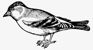 Big Image - Black And White Clipart Of Bird