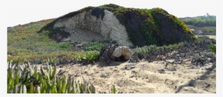 Grass Hill Png - Rock Hill Png
