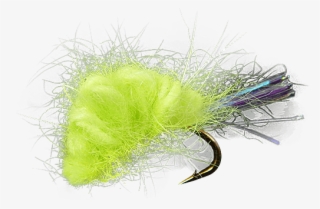 Sucker Spawn - Chartr - - Invertebrate