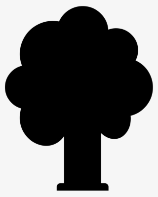 Tree Deciduous Comments