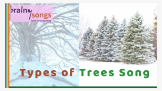 Types Of Trees For Year 1 By Jrdb - 凡 勞苦 擔 重擔 的 人