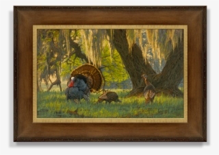"boss Of The Moss" Artist's Proof Canvas Giclée