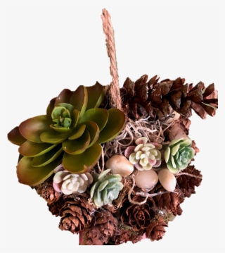 Handmade Hanging Faux Succulent Garden - Echeveria