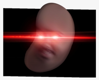 0 Replies 0 Retweets 32 Likes - Lens Flare