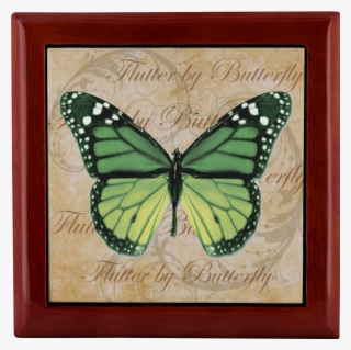 Load Image Into Gallery Viewer, Butterfly,butterflies - Green Butterfly