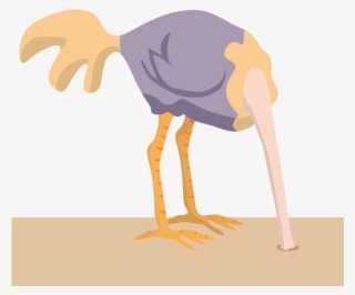 Png Transparent Stock With Clip Art Crazywidow Info - Common Ostrich