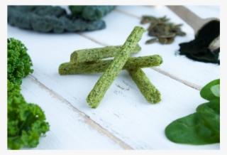 Product Dark Green Square - Starfish