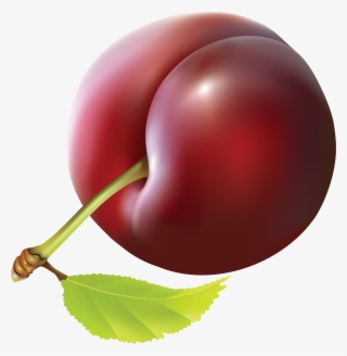 Plum - Clip Art Plum