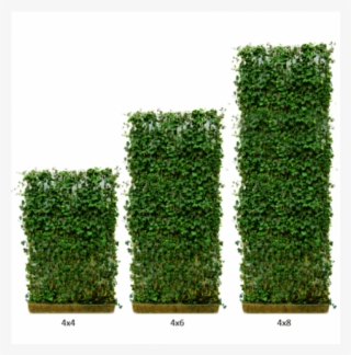 Variety Of Heights - Green Wall Screen Planter