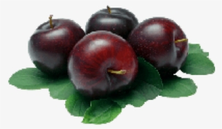 Plum Fruits Benefits