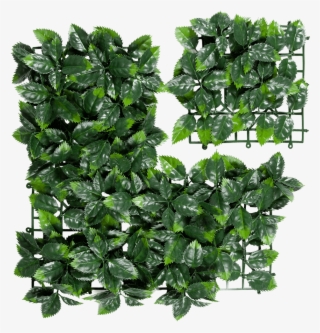 Liberty Holly Artificial Hedge - Houseplant