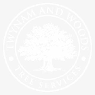 Contact Us About Ivy And Climbing Plants - Foreverspin Logo