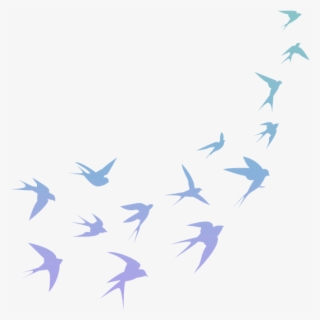 Image 1857480 Pajaros - Pattern Black And White Bird