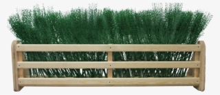 Wooden Frame For Hedge Or Pool - Grass