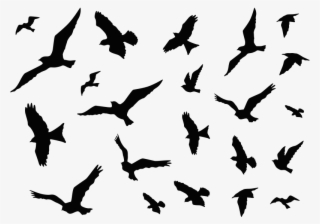 Vinilos Decorativos Stickers Pájaros - Flock