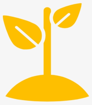 Environmentalism - Round Square - Environmentalism Round Square