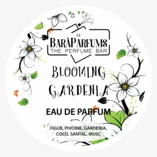 Home / Blooming / Gardenia Blooming - Circle