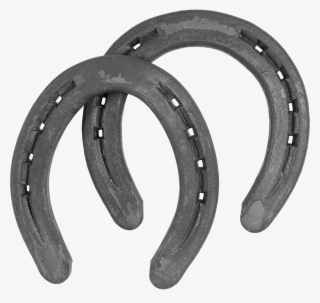 Herradura De Hierro Mustad Hípica Mediana - Circle