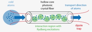 Rydberg Polariton Dynamics In Quasi One Dimensional - Hollow Core Fiber