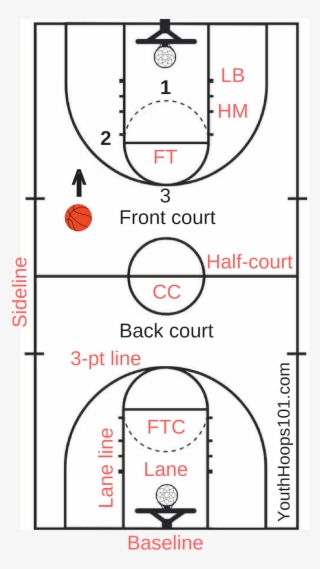 Basketball Court Dimensions - Fiba Court Dimensions Vs Nba - 539x482 ...