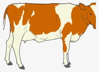 Cow Clipart