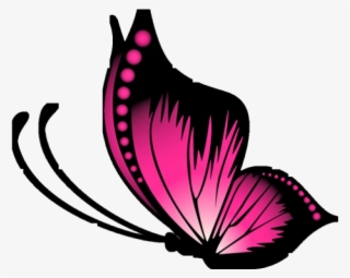 Pink Butterfly Vector Png