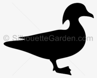 Silhouette Clipart Duck - Flying Wood Duck Silhouette