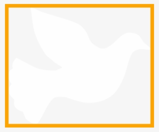 Incredible White Peace Symbol