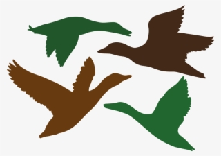 Duck Silhouette, Silhouette Images, Silhouette Files, - Flock