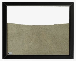 Black Ant Farm With Wood Frame - Metal