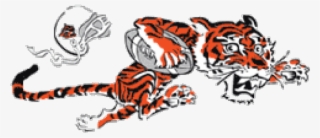 Bengal Clipart Cincinnati Bengals - 1968 Cincinnati Bengals Logo