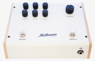 Milkman The Amp 50 Watt Head Pedal - Electronics