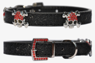 Candy Finish Black Dog Collar With Buccaneer Style - Buckle