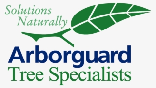 Wb 640 - Banoo Main Teri Dulhan