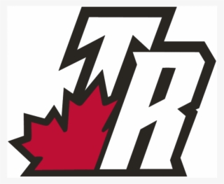 Toronto Raptors Primary Logos Iron On Stickers And - Toronto Raptors