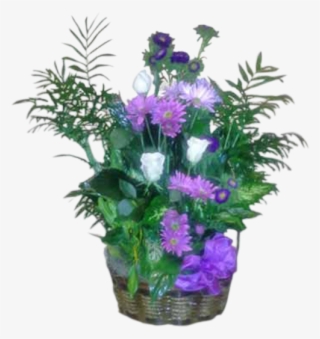 Purple Garden - Violet Dish Garden