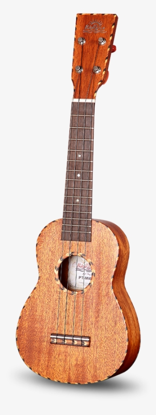 Pt-mw Series - Acoustic Guitar