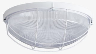 Elektra 4 - Shower Head