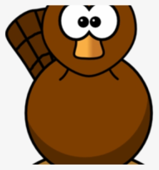 Cartoon Platypus - Platypus Cartoon