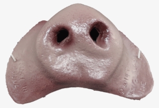 Pig Snout - Chocolate