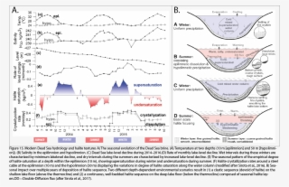 While Mg2 , Whose Salts Are More Soluble, Is Further - Diagram