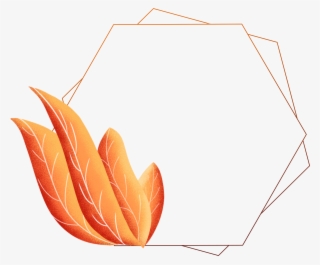 Hand Painted Border Plants Leaves Coral Orange Png - Construction Paper