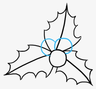 How To Draw Holly - Holly Drawing Easy