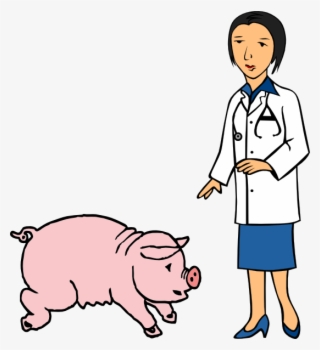 Doctor And Pig Clip Art - Sau Clipart