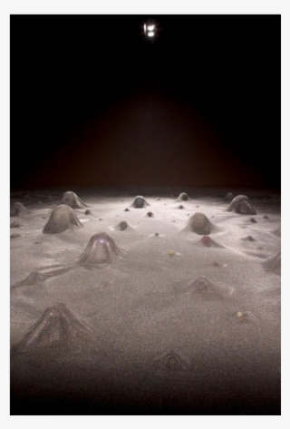 Glove Trotter3 - Moon